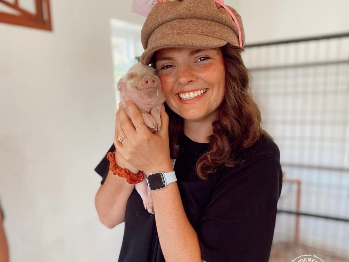 mini-pig-majestic-meadows-medina Mini potbellied pig at Majestic Meadows Alpacas petting zoo Medina Ohio