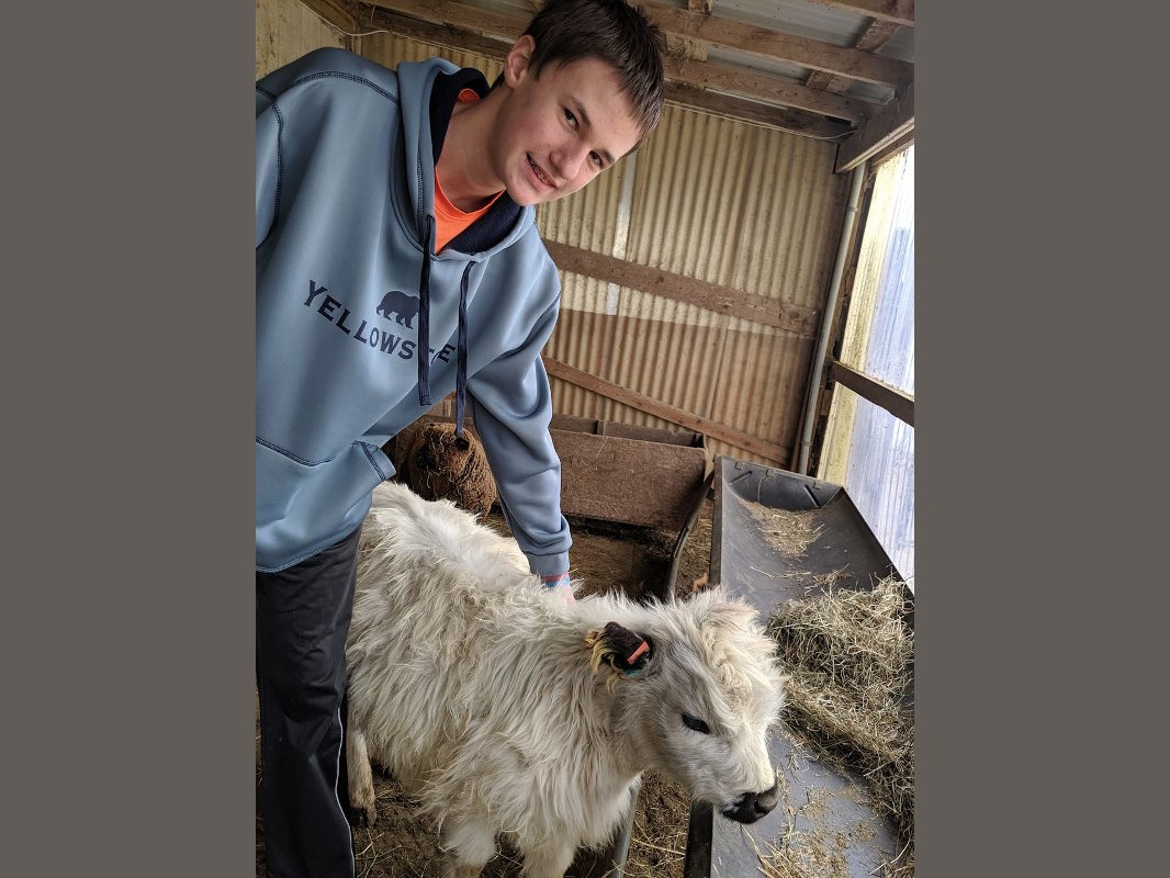 junior-farmers-program-medina-ohio Children participating in Junior Farmers program at Majestic Meadows Alpacas petting zoo Medina Ohio