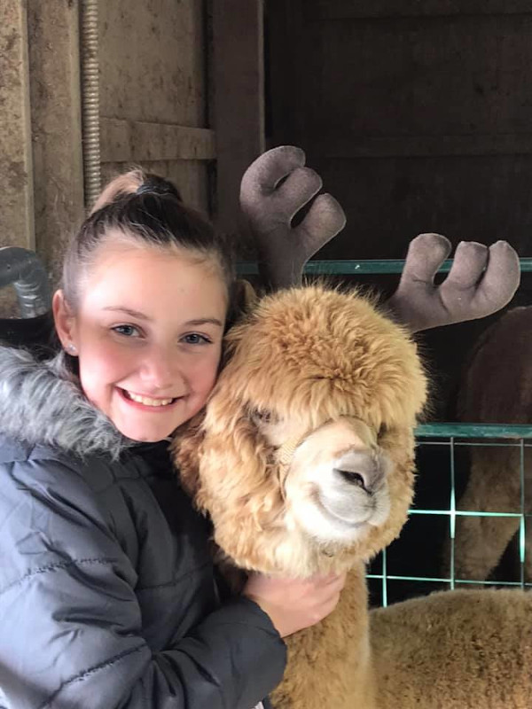 farm-6.jpg Holiday celebration at Majestic Meadows